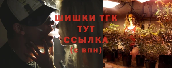 сатива Новокубанск