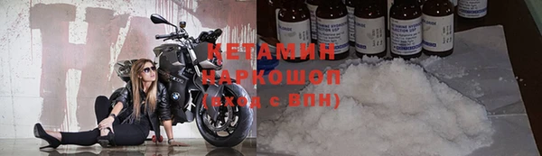 сатива Новокубанск