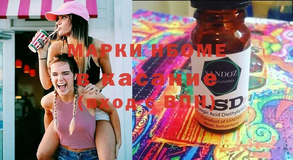 сатива Новокубанск