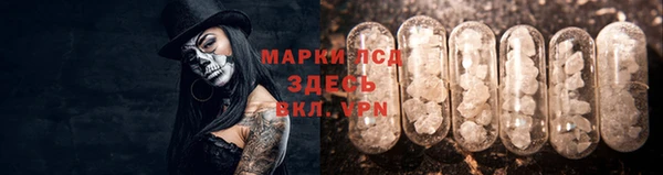 сатива Новокубанск