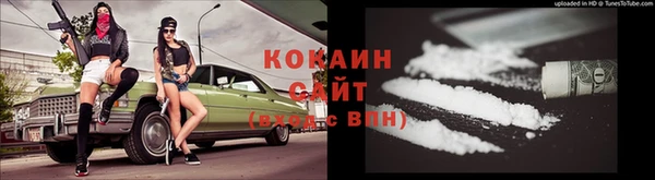 сатива Новокубанск