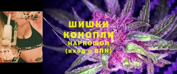 сатива Новокубанск