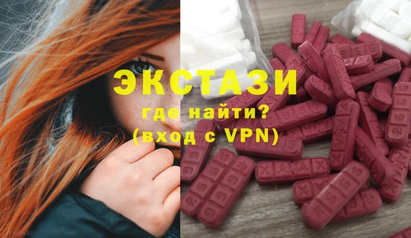 сатива Новокубанск