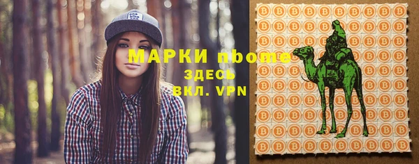 сатива Новокубанск