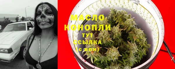 сатива Новокубанск