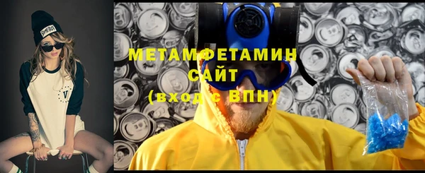 сатива Новокубанск
