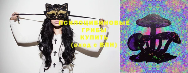 метадон Новодвинск
