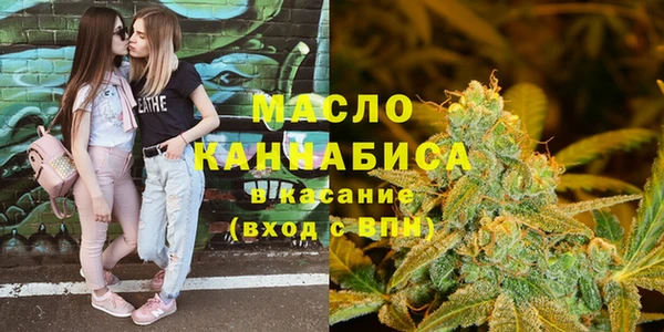 сатива Новокубанск