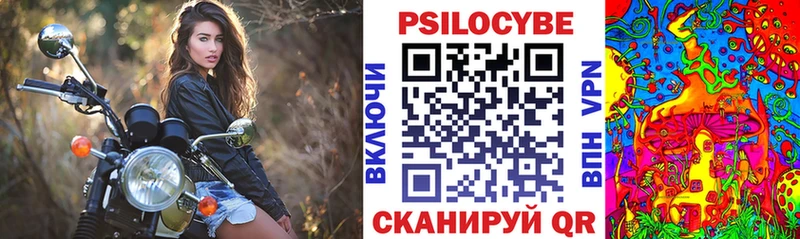 купить   Приволжский  Галлюциногенные грибы мицелий 